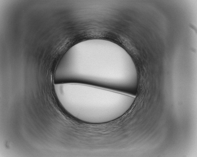 X0000098040021200804111357