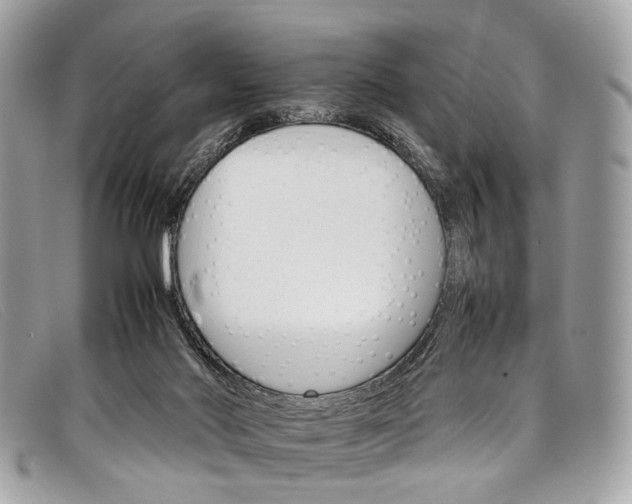 X0000098040022200804111357