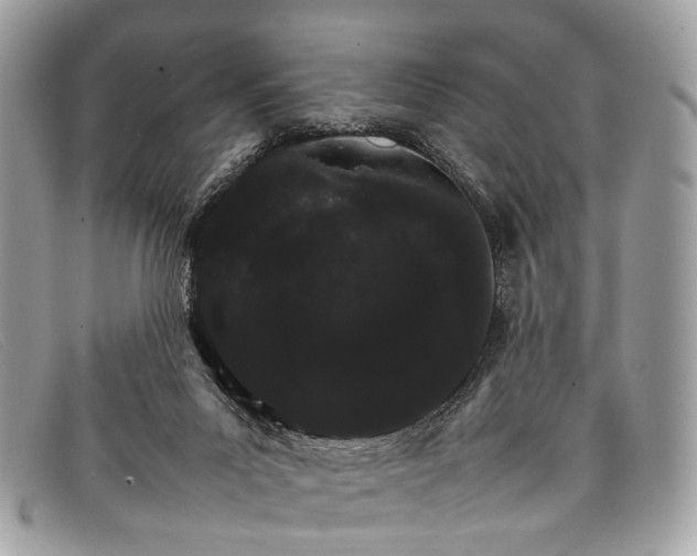 X0000098040023200804111357