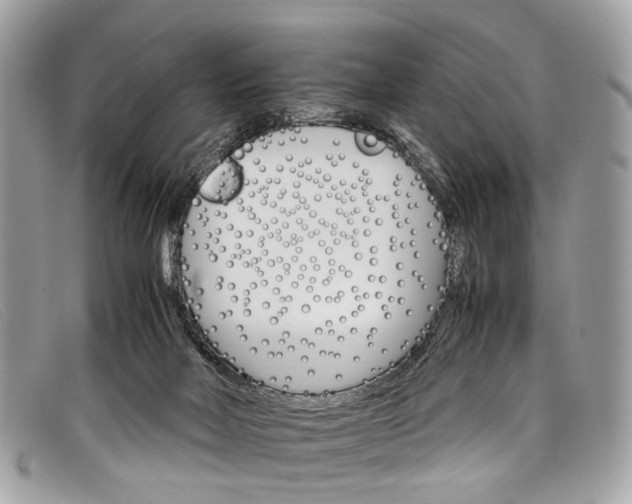 X0000098040026200804111357