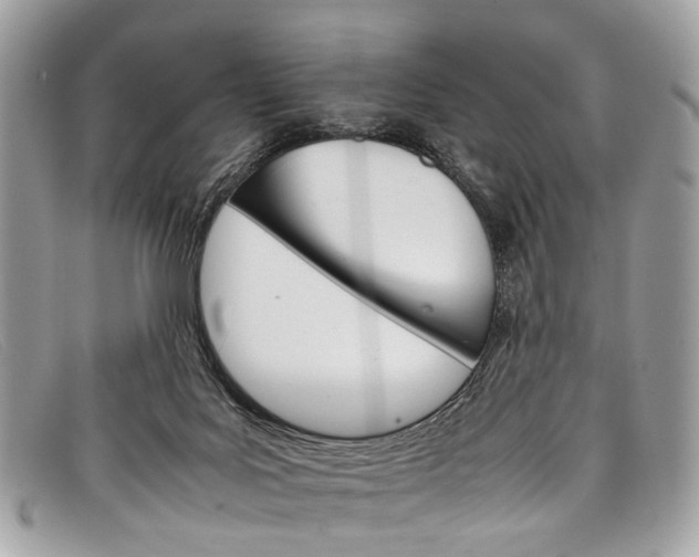 X0000098040027200804111357