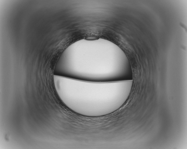 X0000098040029200804111357