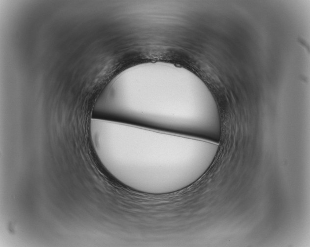 X0000098040031200804111357