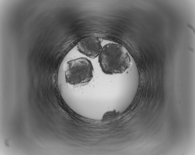 X0000098040032200804111357