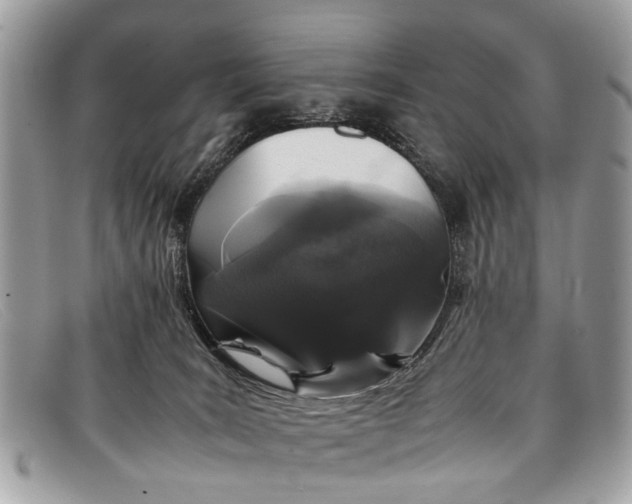 X0000098040035200804111357