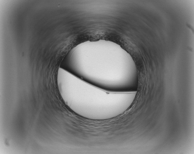 X0000098040037200804111357