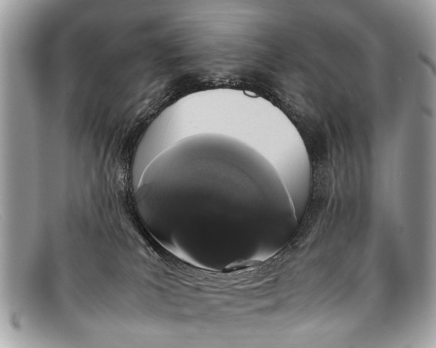 X0000098040039200804111357