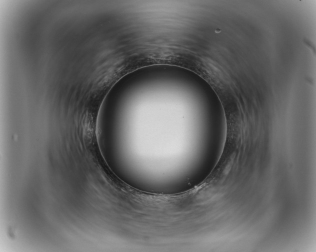 X0000098040040200804111357