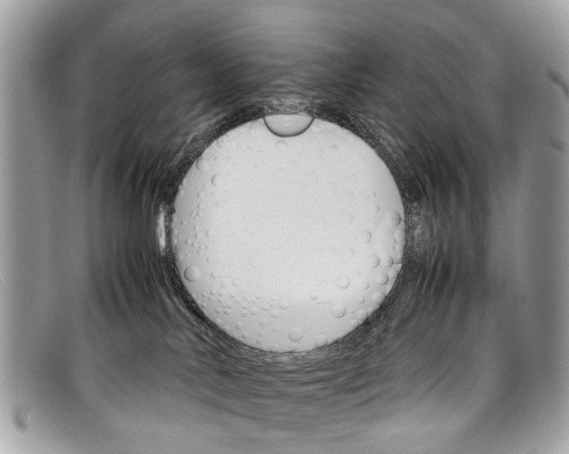X0000098040042200804111357