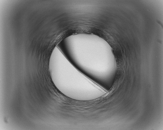 X0000098040045200804111357