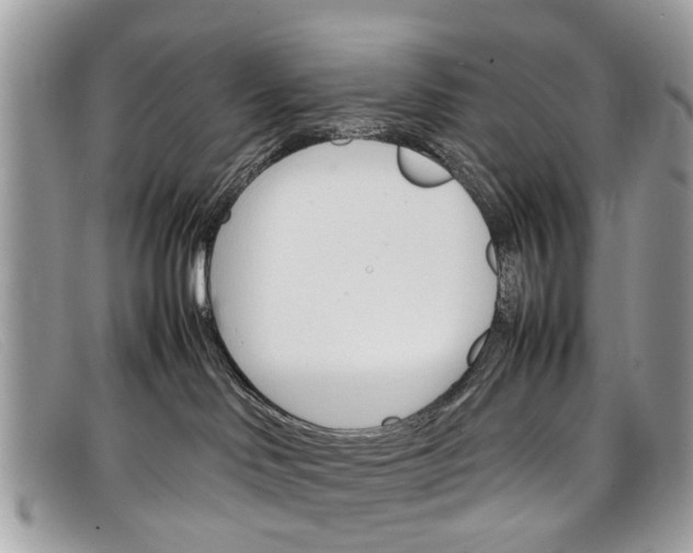 X0000098040046200804111357