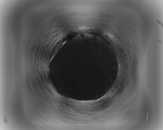 X0000098040048200804111357