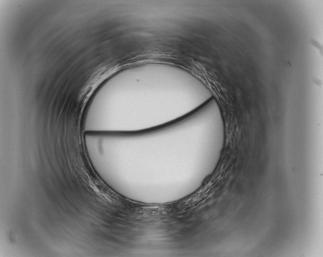 X0000098040050200804111356