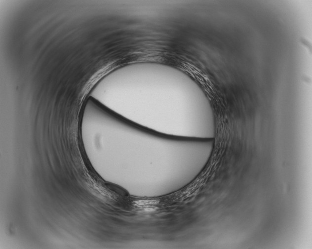 X0000098040051200804111356