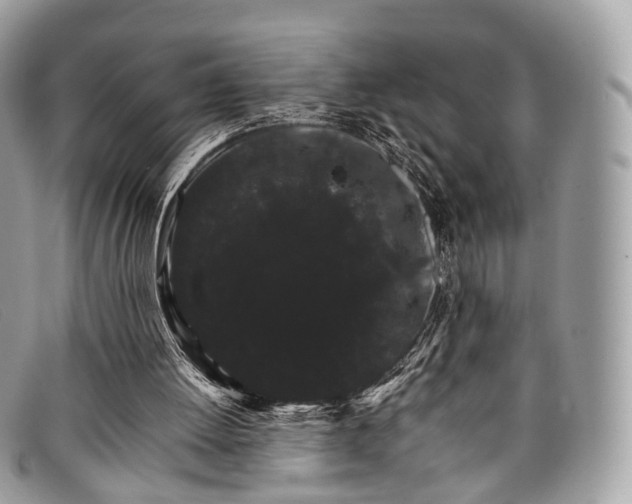 X0000098040052200804111356