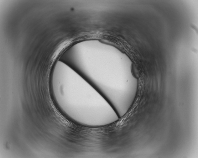 X0000098040054200804111356