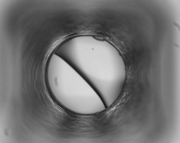 X0000098040055200804111356
