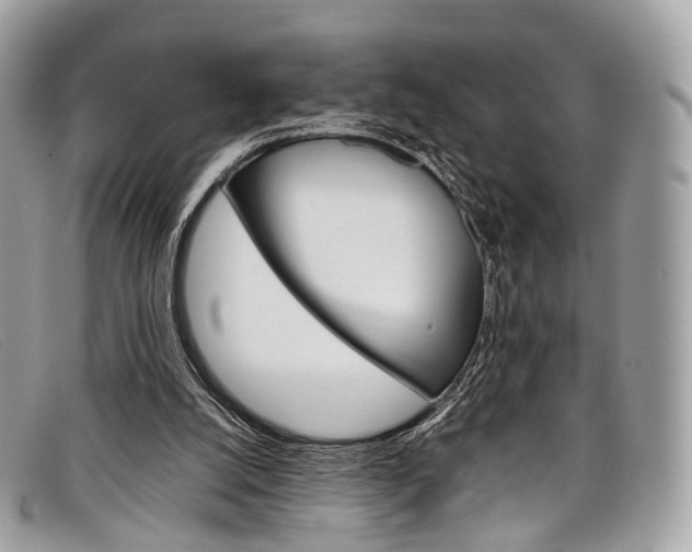 X0000098040056200804111356