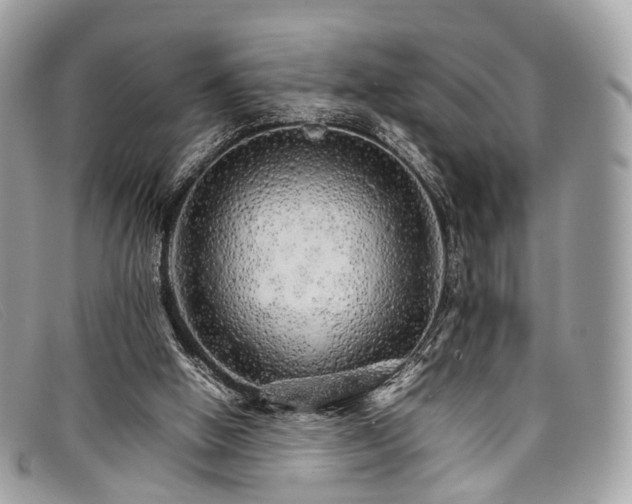 X0000098040058200804111356