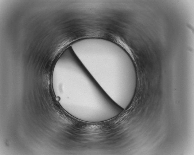 X0000098040059200804111356