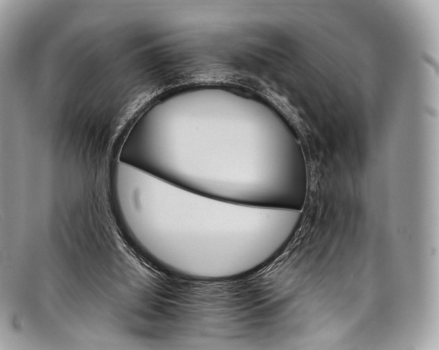 X0000098040060200804111356
