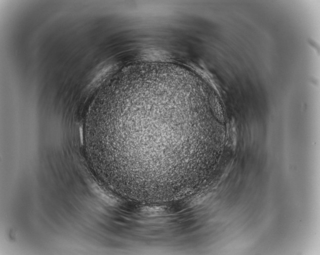 X0000098040061200804111356