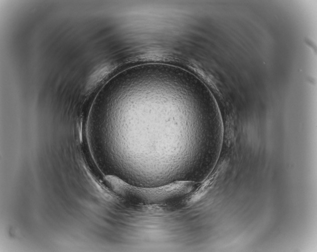 X0000098040062200804111356