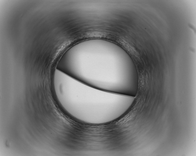 X0000098040064200804111356