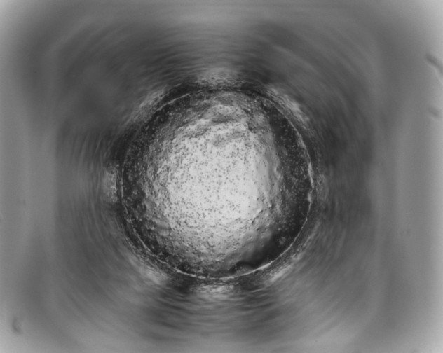X0000098040065200804111356