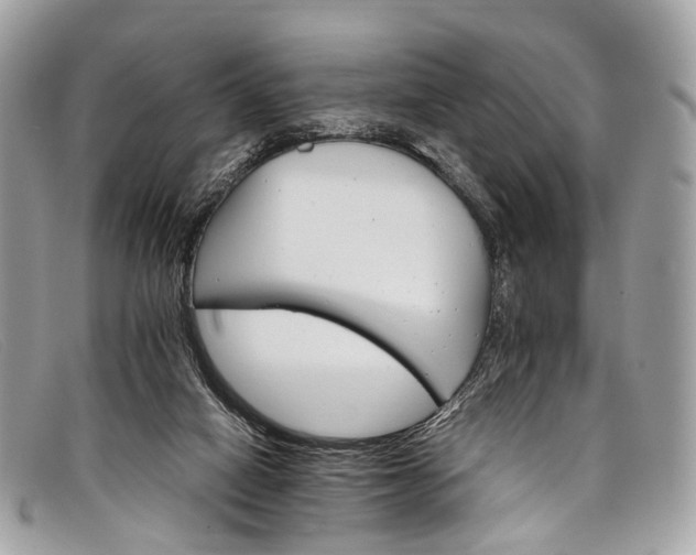 X0000098040066200804111356