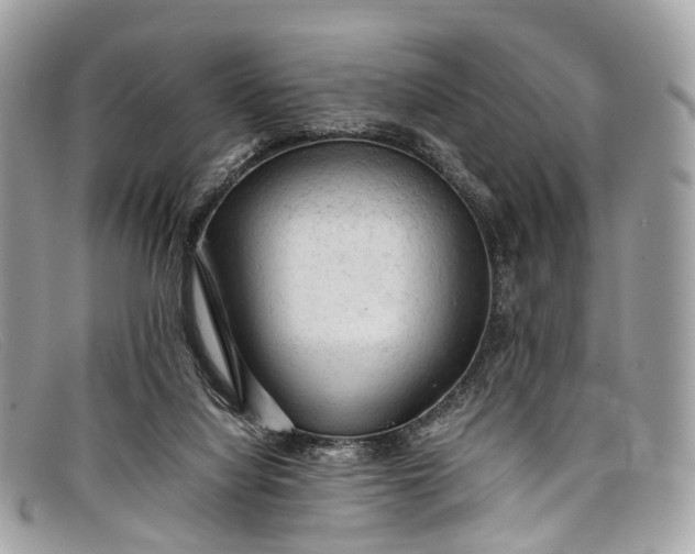 X0000098040068200804111357