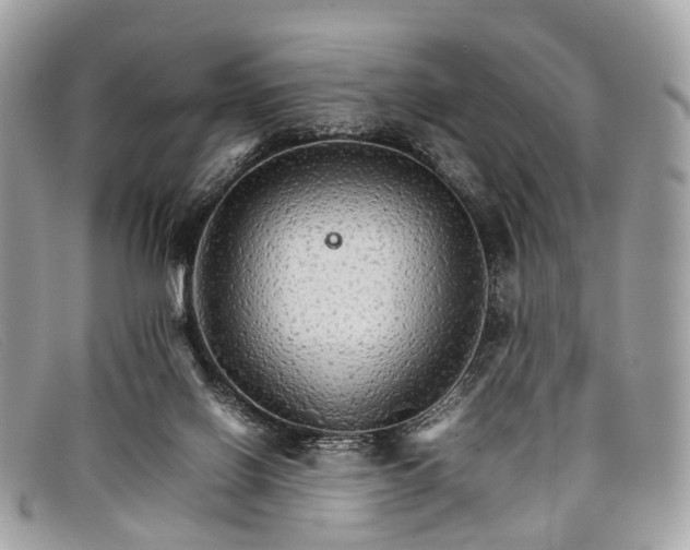 X0000098040070200804111357