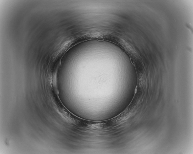 X0000098040072200804111357