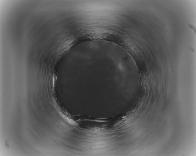 X0000098040076200804111357