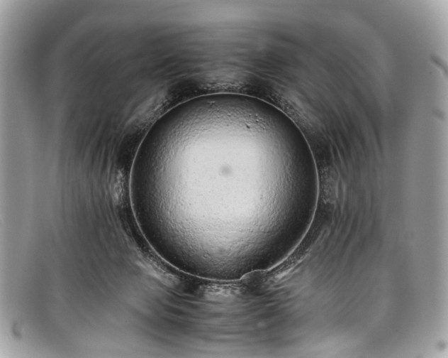 X0000098040077200804111357