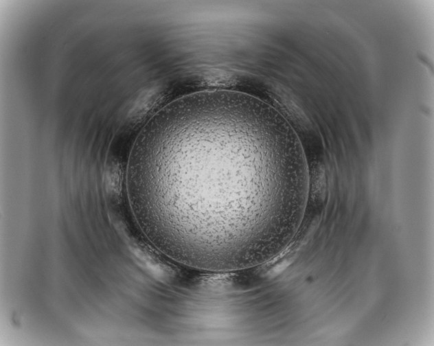X0000098040078200804111357