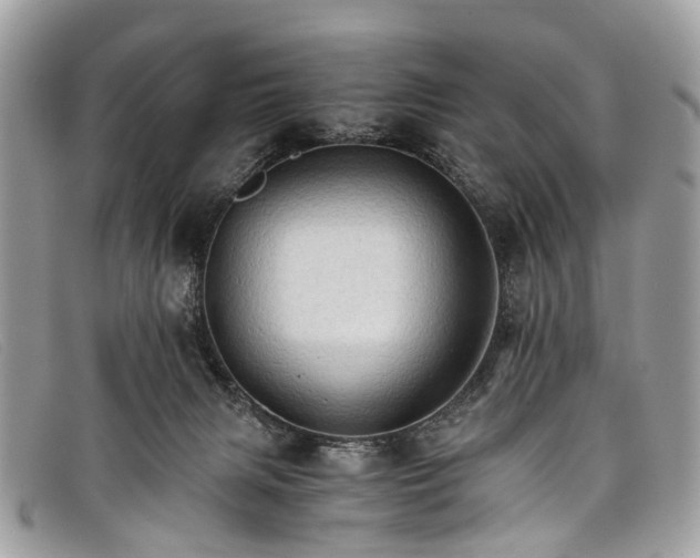 X0000098040079200804111357