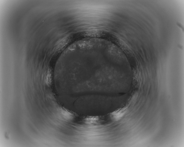 X0000098040080200804111357