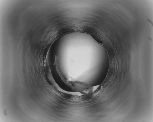 X0000098040084200804111357