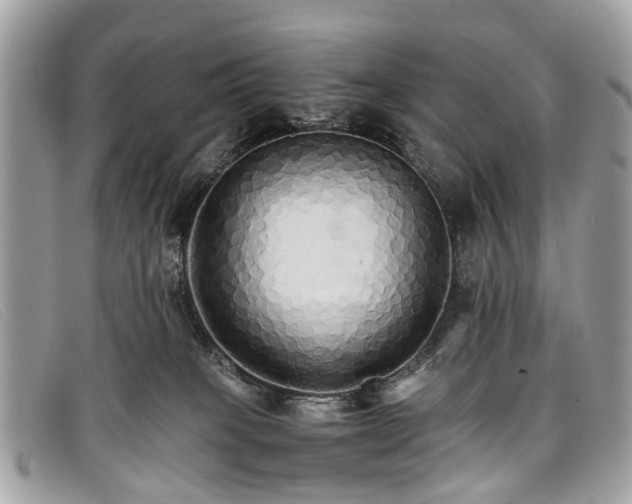 X0000098040085200804111357