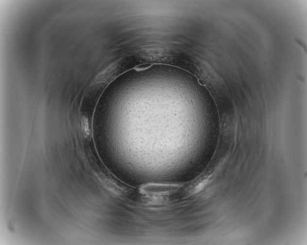X0000098040089200804111357