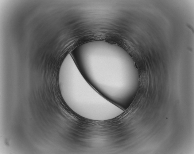 X0000098040092200804111357