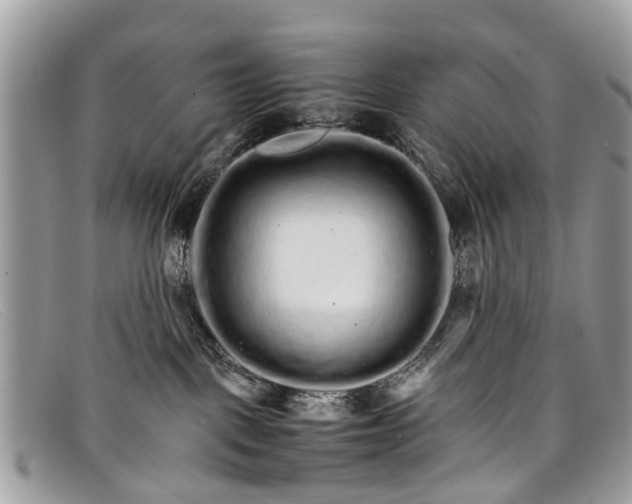X0000098040093200804111357