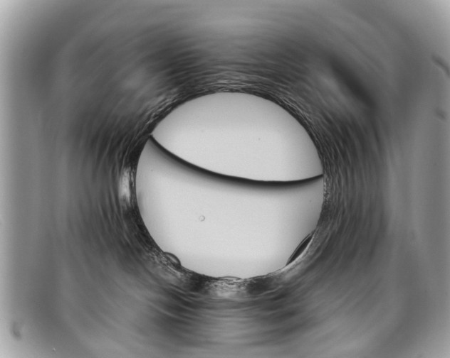 X0000098040094200804111357