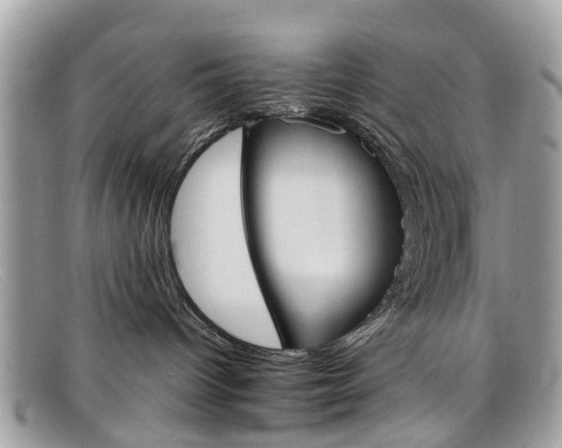 X0000098040096200804111357