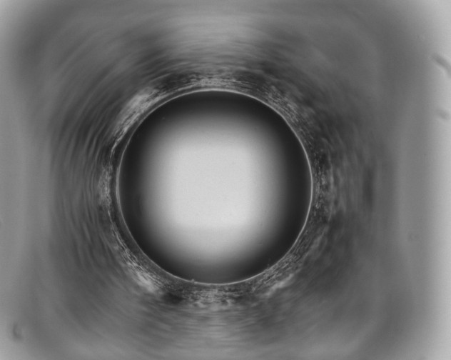X0000098040098200804111356