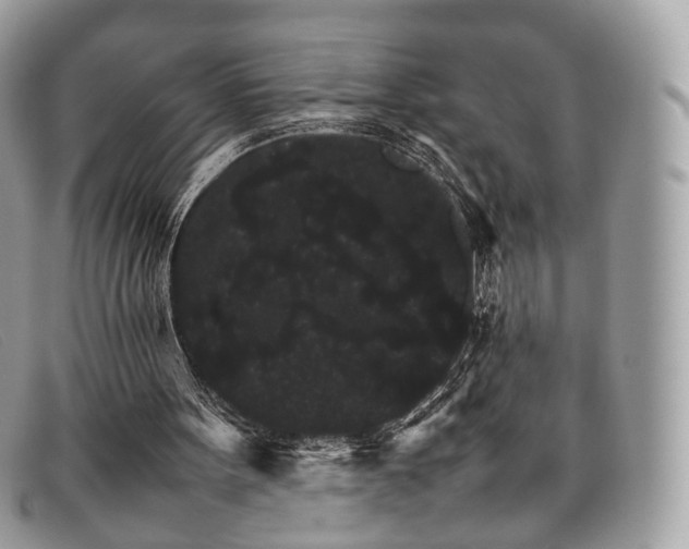 X0000098040099200804111356