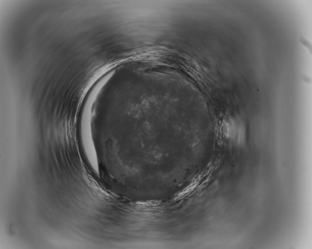 X0000098040100200804111356
