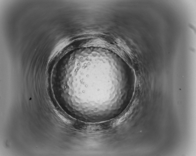 X0000098040101200804111356