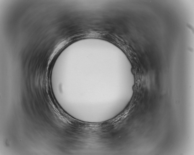 X0000098040102200804111356